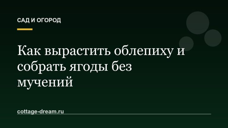 Как вырастить облепиху и собрать ягоды без мучений