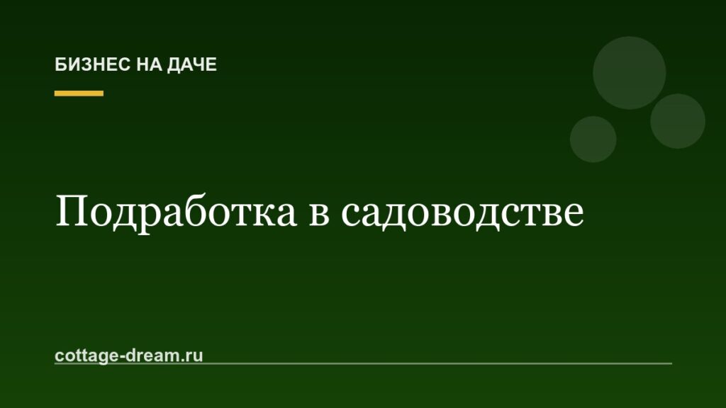 Подработка в садоводстве: покос, уборка снега и присмотр за домами соседей