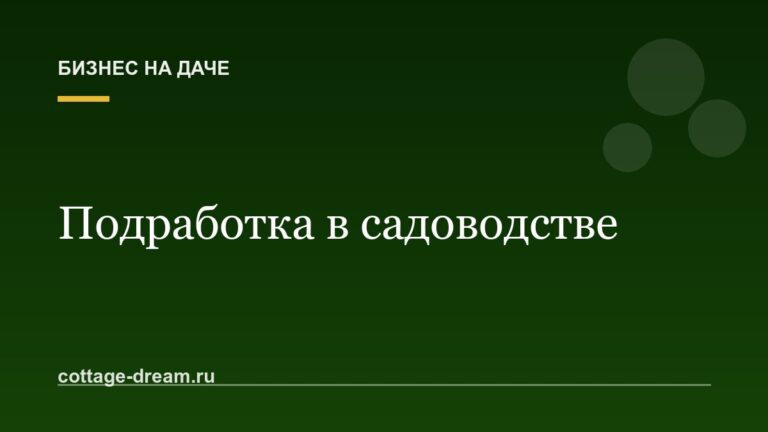 Подработка в садоводстве: покос, уборка снега и присмотр за домами соседей