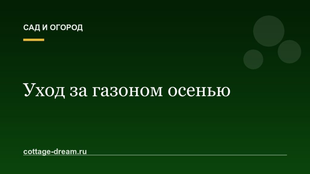 Уход за газоном осенью: что сделать в сентябре и октябре, чтобы весной не было проплешин