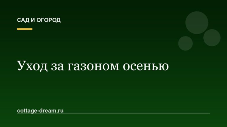 Уход за газоном осенью: что сделать в сентябре и октябре, чтобы весной не было проплешин