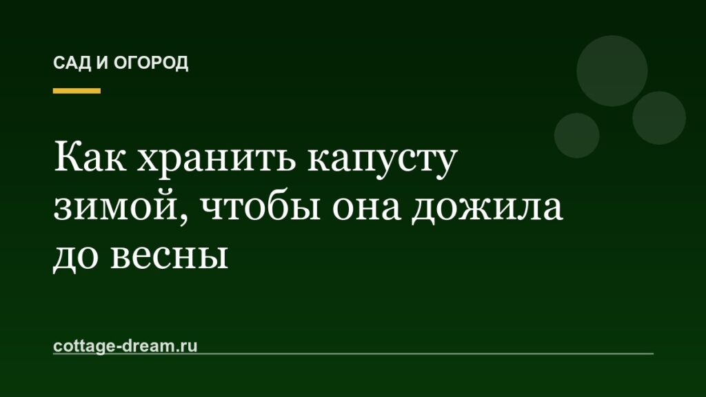 Как хранить капусту зимой, чтобы она дожила до весны