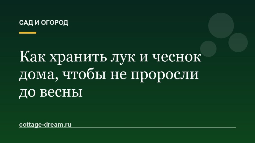 Как хранить лук и чеснок дома, чтобы не проросли до весны