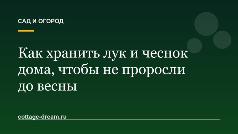 Как хранить лук и чеснок дома, чтобы не проросли до весны