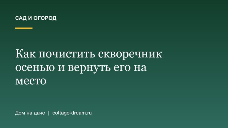 Как почистить скворечник осенью и вернуть его на место