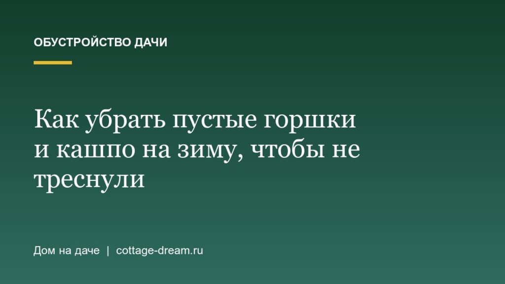 Как убрать пустые горшки и кашпо на зиму, чтобы не треснули