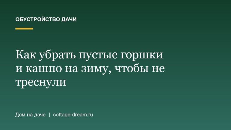 Как убрать пустые горшки и кашпо на зиму, чтобы не треснули