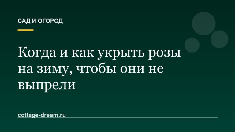 Когда и как укрыть розы на зиму, чтобы они не выпрели