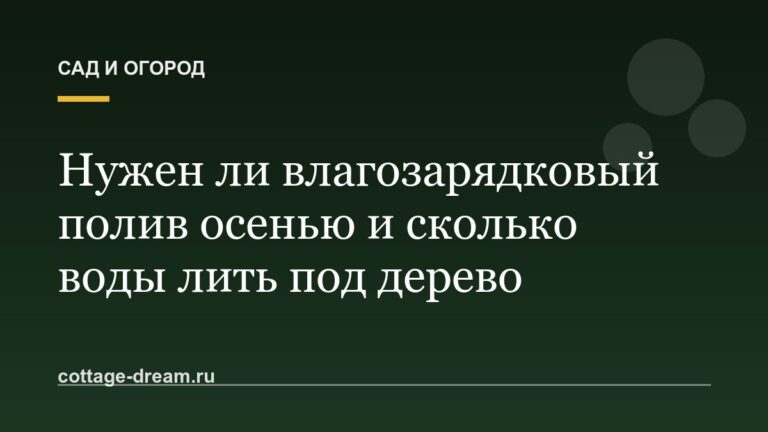 Нужен ли влагозарядковый полив осенью и сколько воды лить под дерево